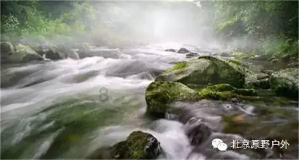相互吞噬选关版